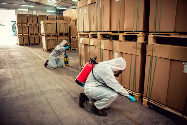 Best Best Pest Control Companies  in Nixa, MO