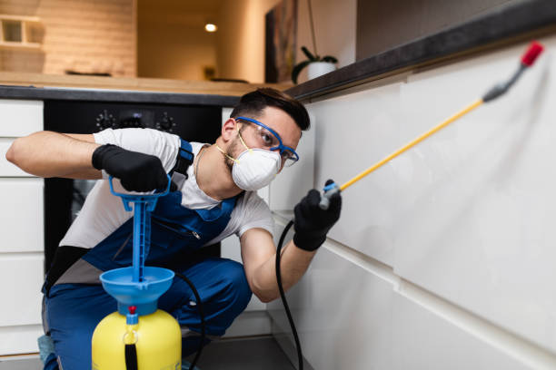 Best Best Pest Control Companies  in Nixa, MO