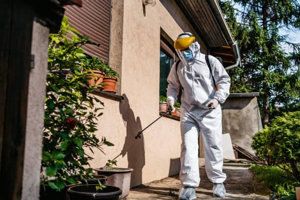 Best Affordable Pest Control Services  in Nixa, MO