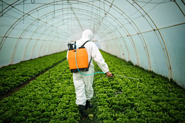 Best Pest Control Treatment  in Nixa, MO