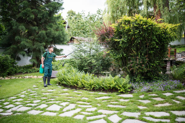 Best Wildlife Control Services  in Nixa, MO