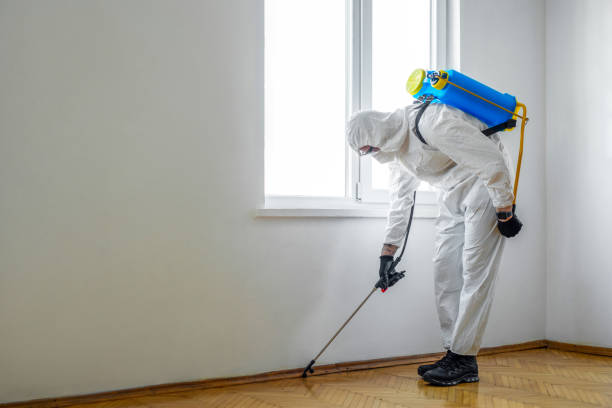 Best Wildlife Control Services  in Nixa, MO