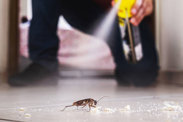 Best Residential Pest Control  in Nixa, MO