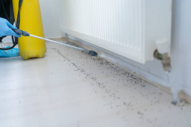 Best Pest Prevention Services  in Nixa, MO