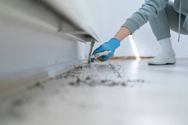 Nixa, MO Pest Control Company